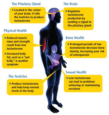 men with low testosterone