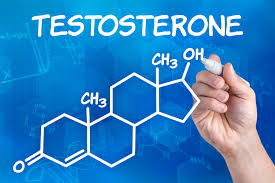 increased testosterone helps premature ejaculation